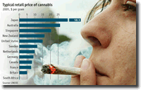 Marijuana Statistics-2
