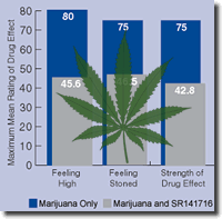 Marijuana Statistics 7